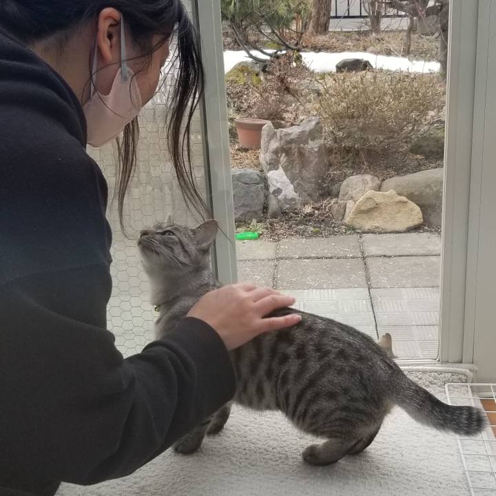 4e2084c3 d8aa 4a33 92ea 9e074fe9e622 1679841664059