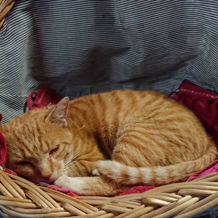 4e208550 89d0 47f5 8f8f 6896f8030408 1563179032205