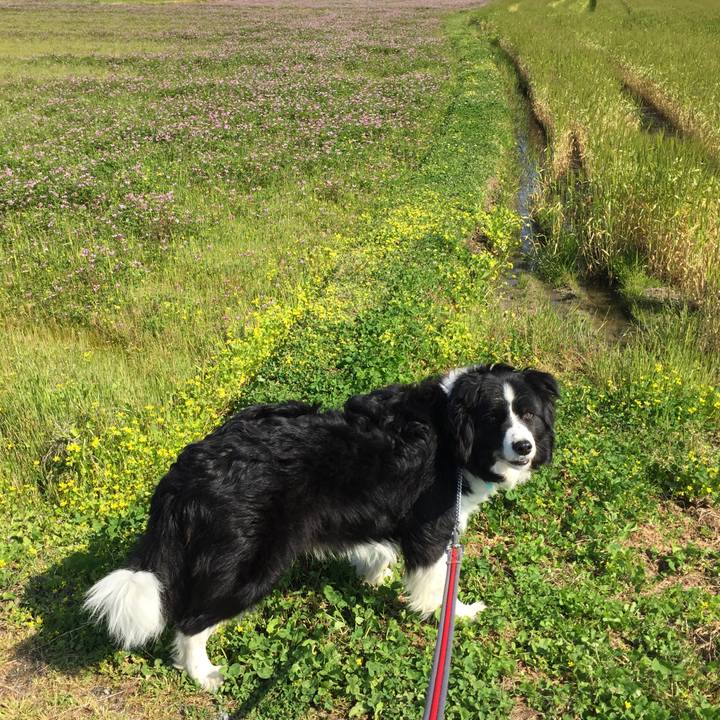 4e20ad50 737d 47d3 84e7 d1670334d154 1587164653287