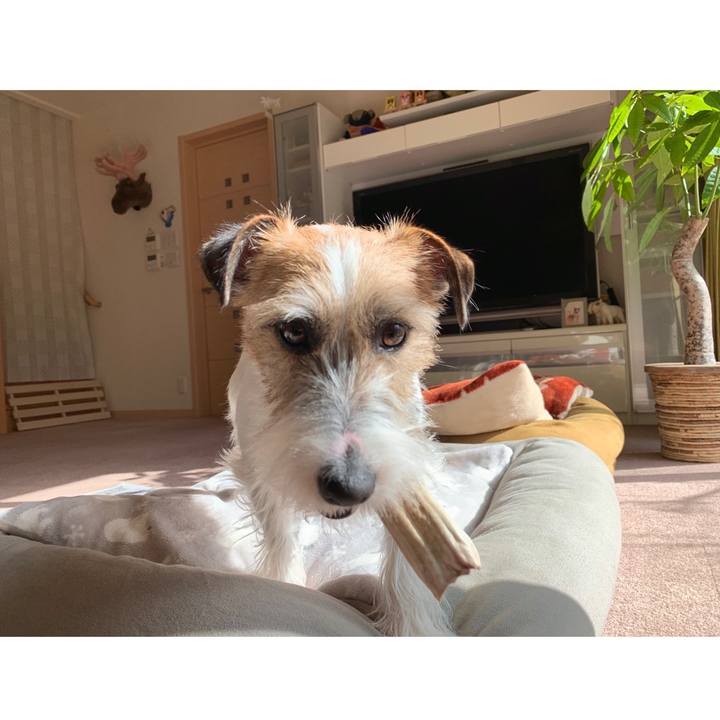 4e20adfe efb4 45e8 bdec 8a4ec4dea77a 1579918816864