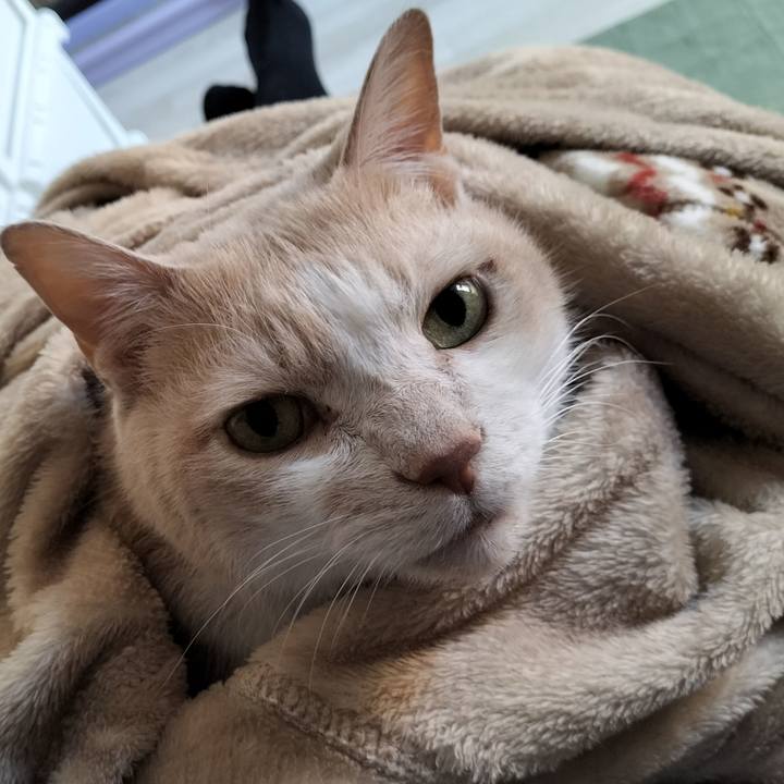 4e20d6a8 4779 42e1 9986 eb0e771600f6 1641098507341