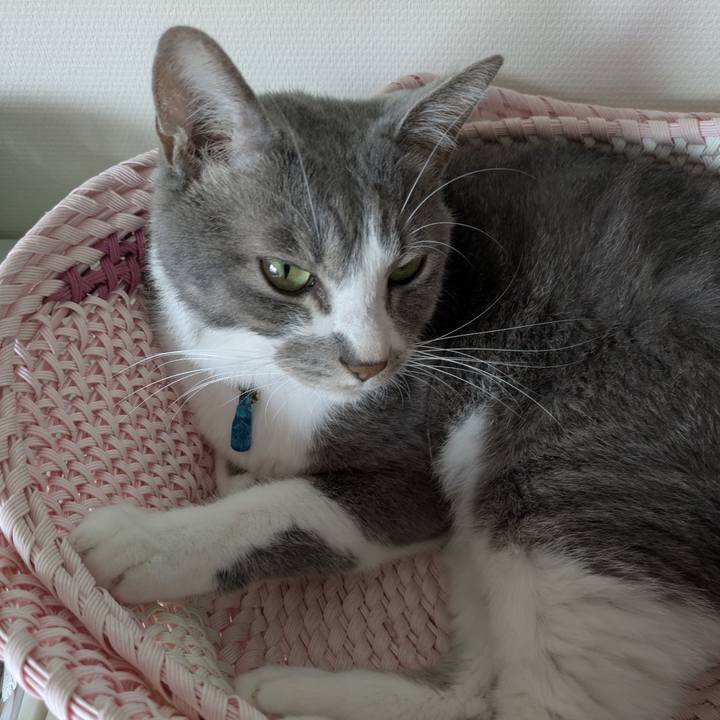 4e210d4f a42e 4130 b7ab 26a063bb86c9 1759284383296