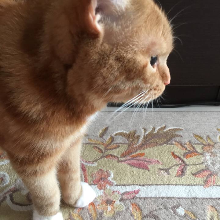 4e21557c 499c 48a3 8b28 0b365b3c057a 1522796222334