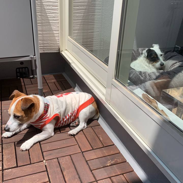 4e215cee def6 4a62 bc2e 5dbb1e553713 1588300542776