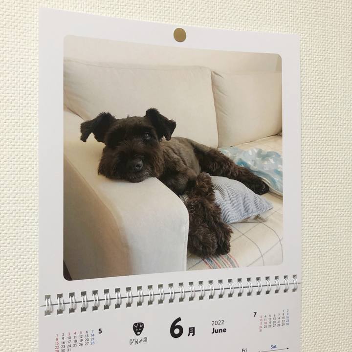 4e21691e b913 4519 b4ba 4f7de4da8e5f 1656499525487