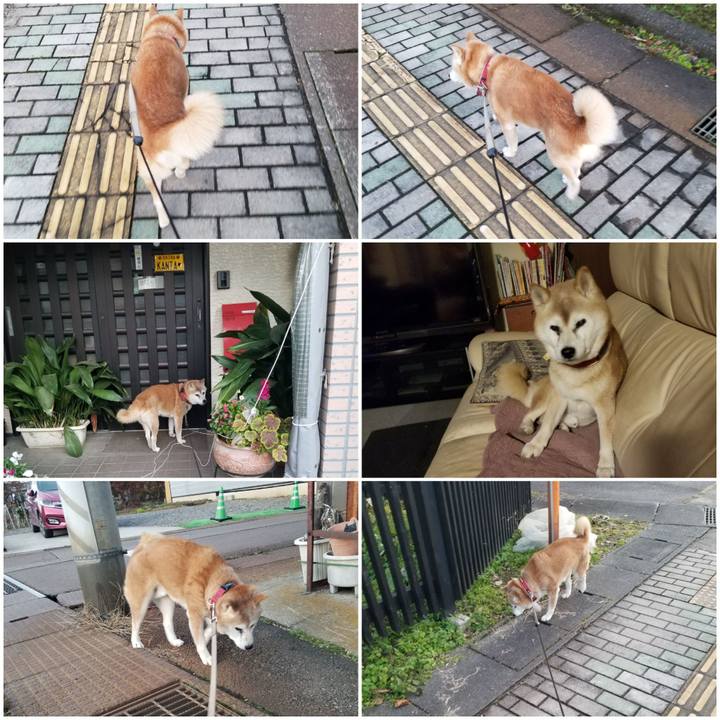 4e217955 e35b 4631 b389 ad7e75175e98 1763883880090