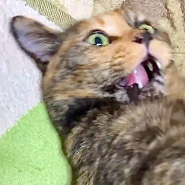 4e2198b7 5798 4f8d bbc9 c1c0da9d5a90 1730489879422