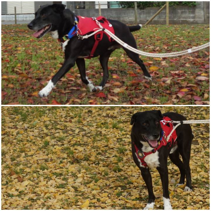 4e21ab2c 0c91 4398 acf0 7d1dd9b123bc 1668732766617