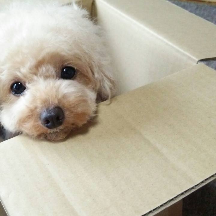 4e21af30 a961 44fc 8004 d2b189abfff0 1537880837367