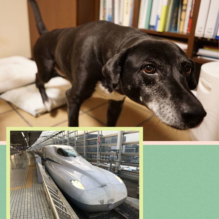 4e21eee2 7ffb 462c 948f 6aca5a6a80c6 1761218093720