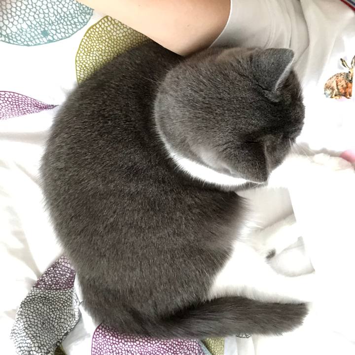 4e22ca0a 9075 4b60 b889 765790b55d94 1538180210554