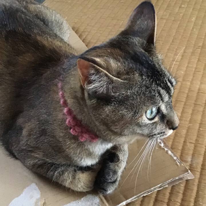 4e22d574 3269 47c2 a022 dde49e52f718 1593584145944