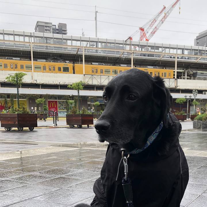 4e22dd97 cca4 4051 bbd2 024f287531f8 1679807842245