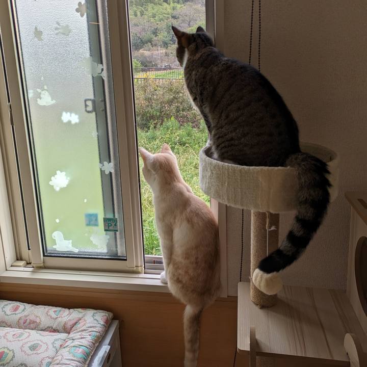 4e22fa12 ddc1 40c6 a383 54accaf27d54 1698360857953