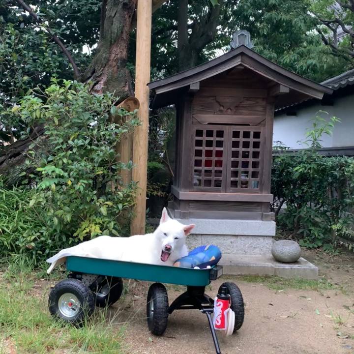 4e23066d b3f6 42db 82ba 3501dae2dce2 1569966464560