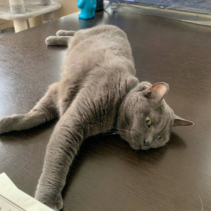 4e23172c 501c 476b b719 c0b324163bce 1758065209104