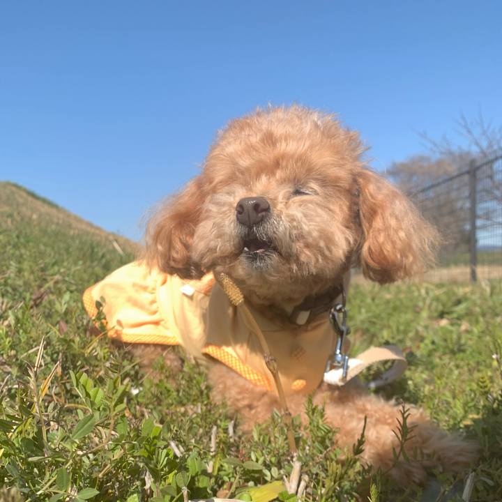 4e2341b0 4e44 487b a464 1dc9dcdfa009 1773363459721