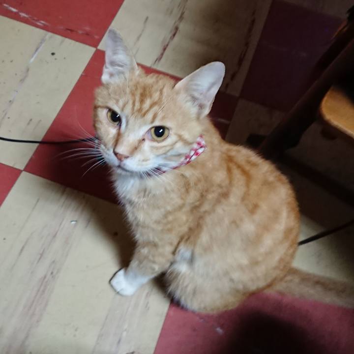 4e234893 b9a7 4f99 a43b 845d35b5ed17 1559591741524