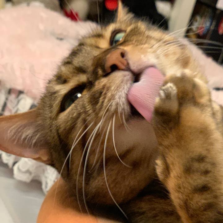 4e239f9a 140d 4d95 93eb f1a1992fd708 1559347332951