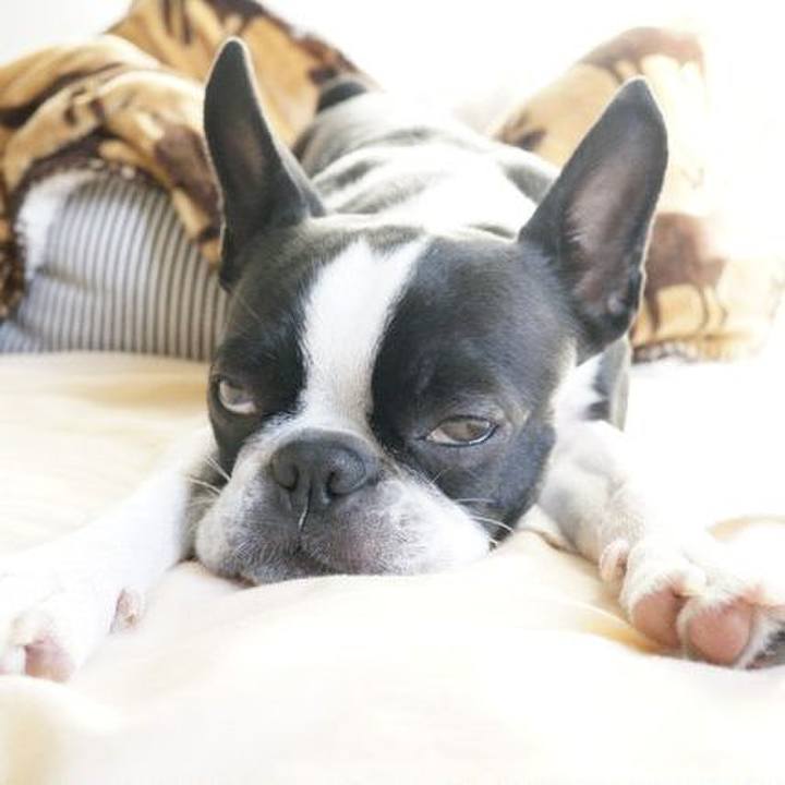 4e23c122 7e7e 4b91 a018 11304bc6368f 1546585649188