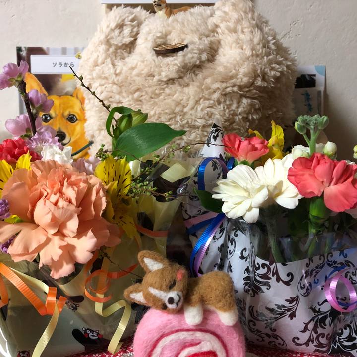 4e23cb2c 888e 4e3b 99e8 5cb59a05c7d7 1519906403702