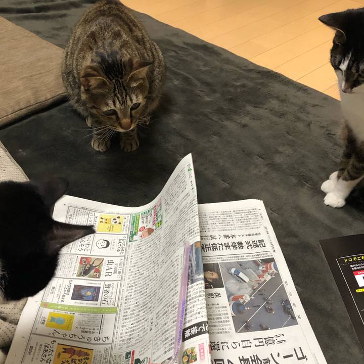 4e24441a 36d7 48db af3e 9c1943403f63 1554612595655