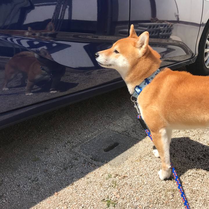 4e244792 c6b7 4fbb 83f9 cf77fb453254 1586498763254