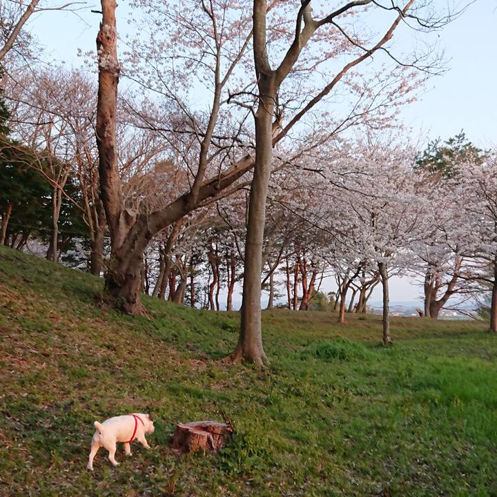 4e245690 f511 4207 8bbc 6850b5b70f20 1522108616492