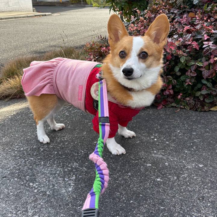 4e2469b1 ca82 4385 9beb 54432dd17132 1766464216369