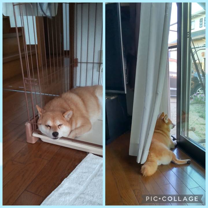 4e248d8f bb1d 4de3 b6fd 0c7c83ff5193 1758960754667