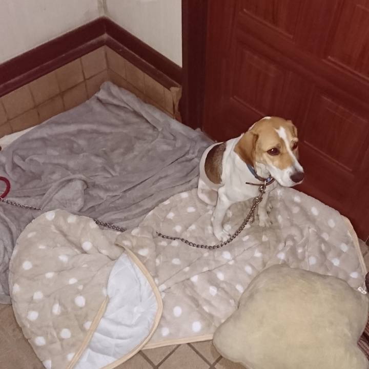 4e24b2fa d859 447d 964b cbac3d9b9fef 1573216505687