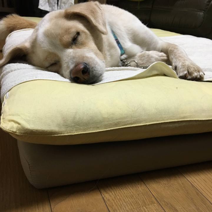 4e24d769 efa9 4b93 af96 912a7b2e0b6d 1530880837633