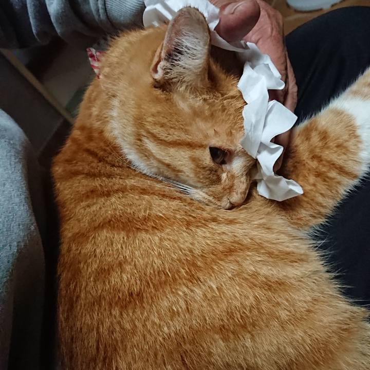 4e24e1fb 5541 4cdb 971e deb487670af7 1601760979487