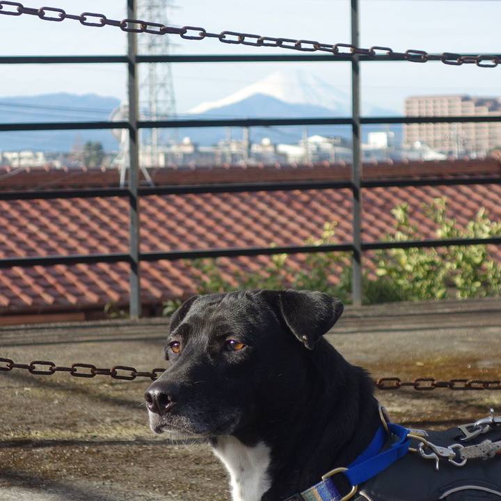 4e25c7ac 6692 46f8 967e 72d307c6666b 1642209088079