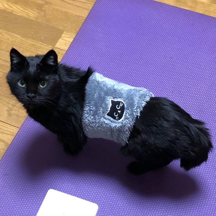 4e25cdc4 60c4 4a51 865d 6820b437a925 1606402709448