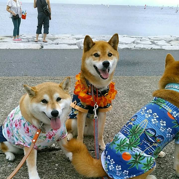 4e26770d 8bbf 4703 b4ab 0d7d163a3bc3 1563203622181