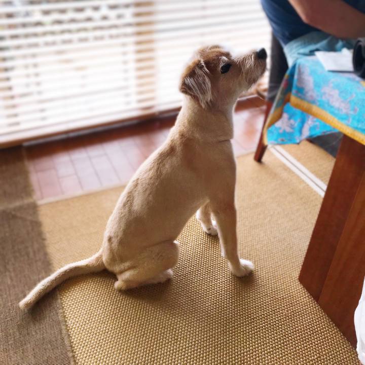 4e267800 8313 4d42 8905 e8eb24eadc4e 1595735666062