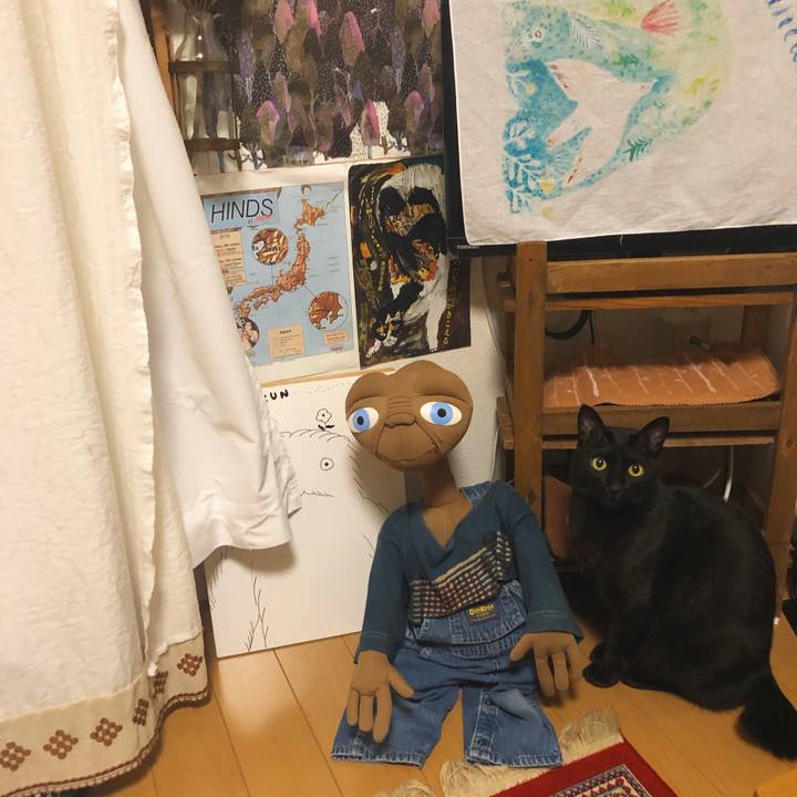 4e26854c 3a5f 47a4 a962 254f44a69cc2 1545396020309