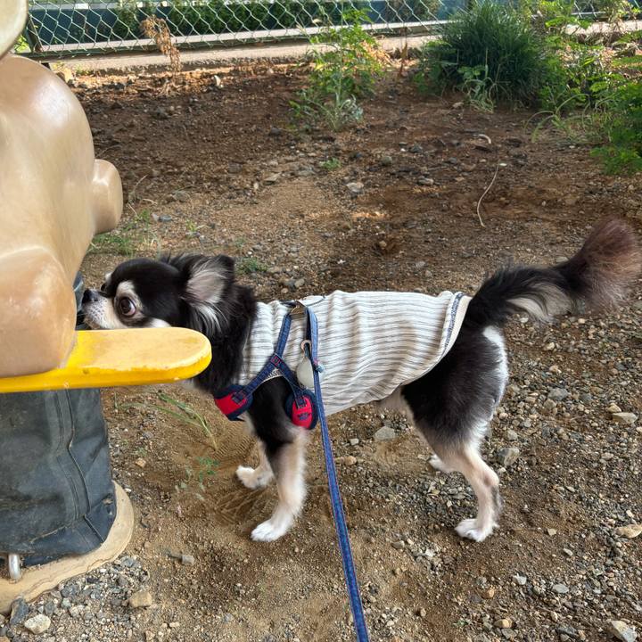 4e269fb4 b6a0 4bfb 8d69 1e137831b3af 1725811608130