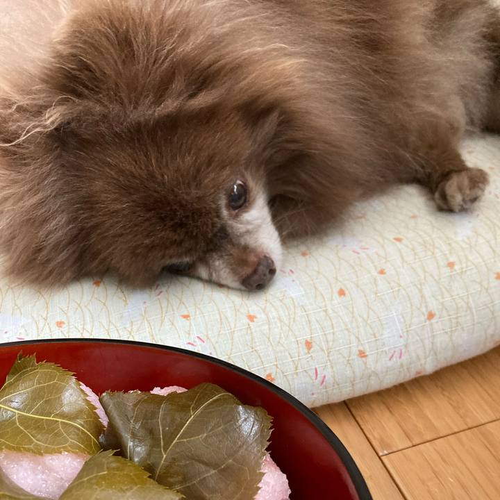 4e26a69c e79d 4396 a78e 8682be4bf151 1709412994155