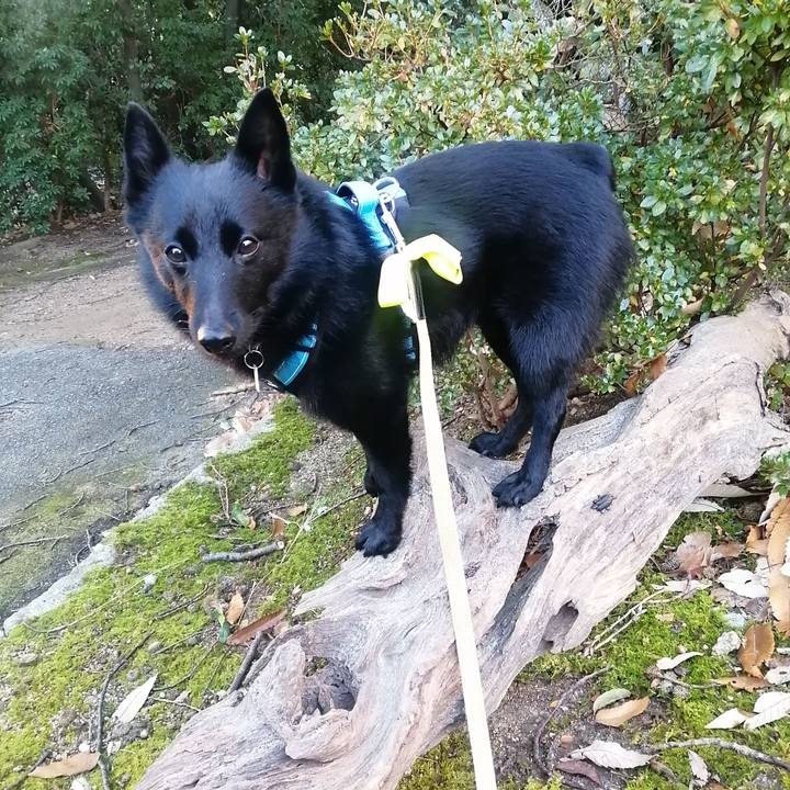 4e26b862 dea3 492c 9f5d e49b4acd086b 1640300488724