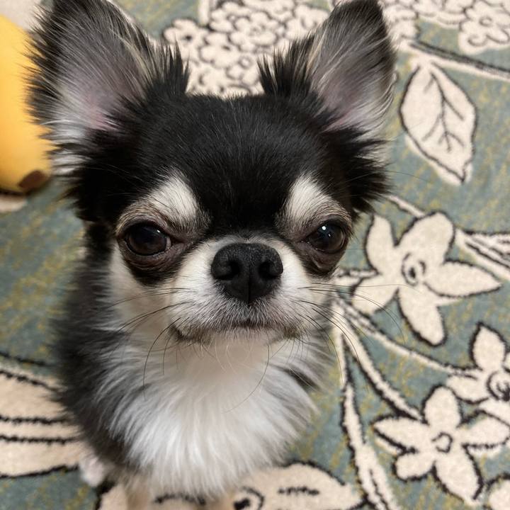 4e26d72c 1e4a 4bc6 8271 28c76bd90ed7 1619880091181