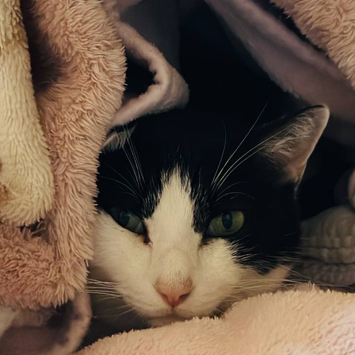 4e26f171 a15d 4941 9179 64628c6956b0 1705455542573