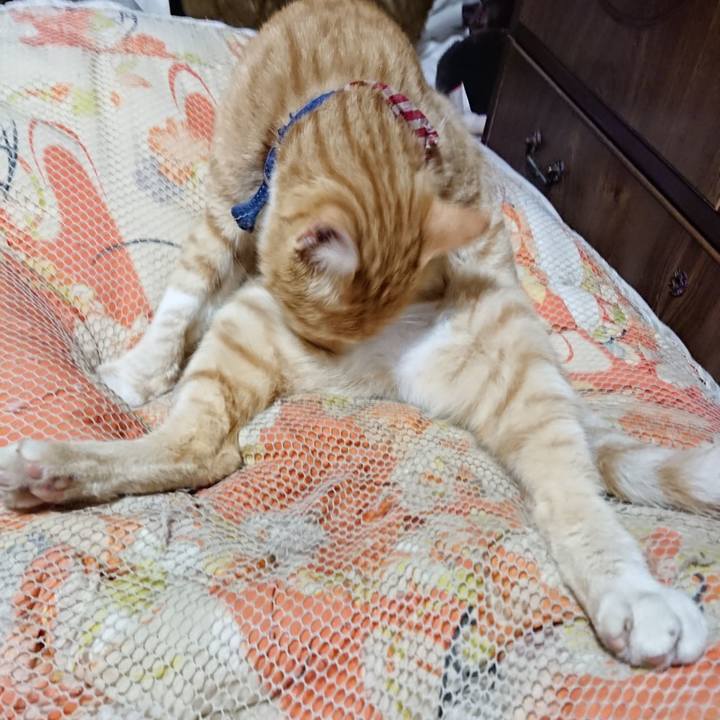 4e272b76 1659 40d0 8d0c d99cc9ef8aea 1561817171107