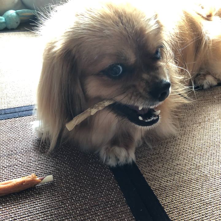 4e272be2 943a 4d23 afd6 806913f93458 1565566109119