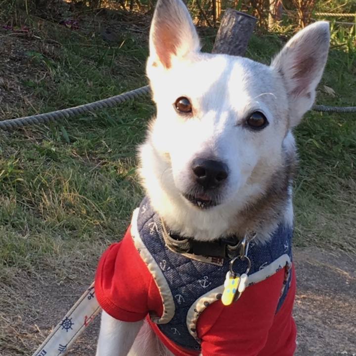 4e274057 2224 4bd6 a42f a19e2dd1c84d 1761605608683