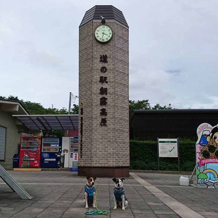 4e277582 4c17 4903 a1a6 365cc2b566f4 1562395786306