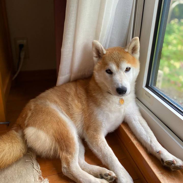 4e27892c f658 4518 9a41 81842a98fc5c 1663550366492