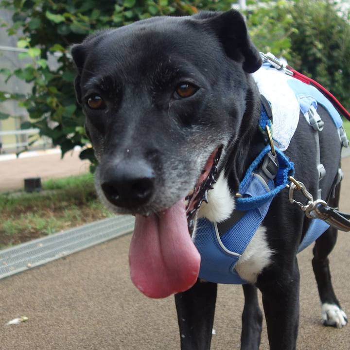 4e27afb0 8cda 4f92 82bb 64b9b33841a3 1691456831612