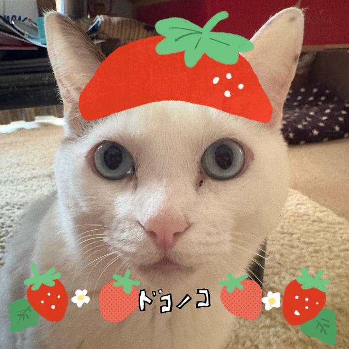 4e27c51a 45a4 492f b013 03ea997b214f 1775268684613